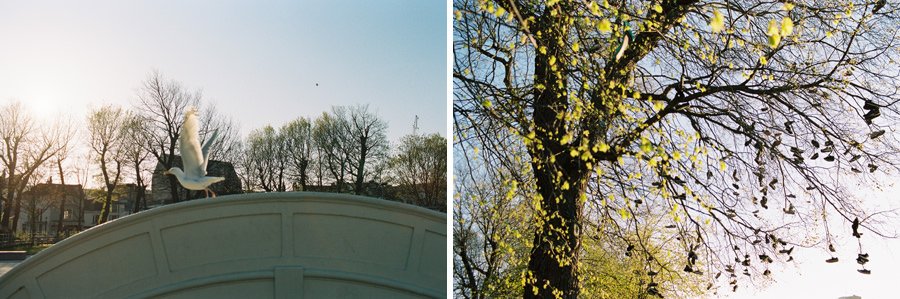 brighton wedding photographer