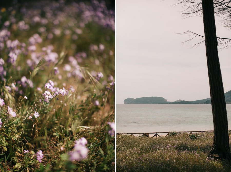 mugoni beach elopement